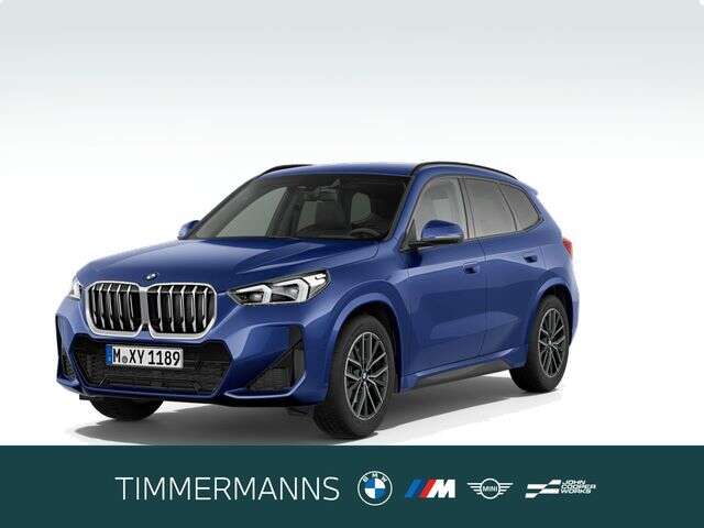 BMW X1 (Bild 1/5)