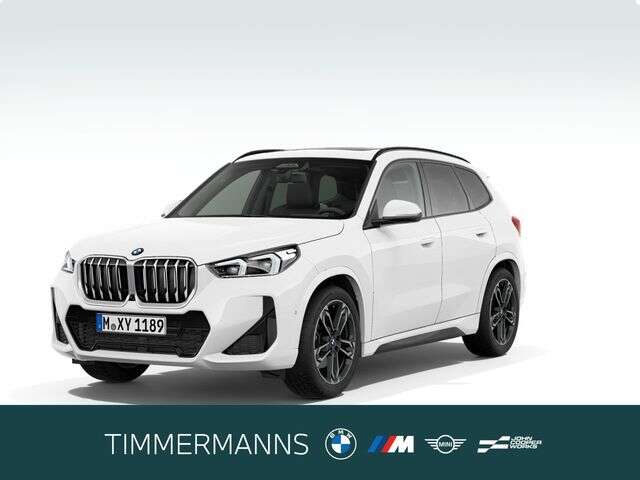 BMW X1 (Bild 1/5)