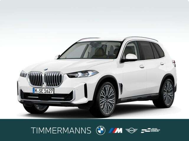 BMW X5 (Bild 1/5)