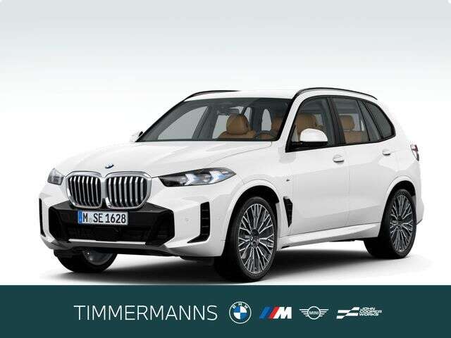 BMW X5 (Bild 1/5)