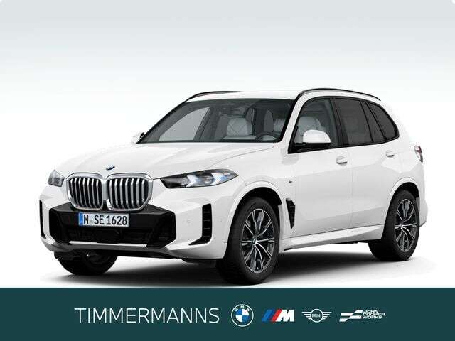BMW X5 (Bild 1/5)