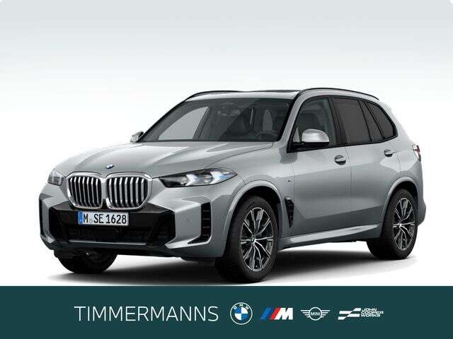 BMW X5 (Bild 1/5)
