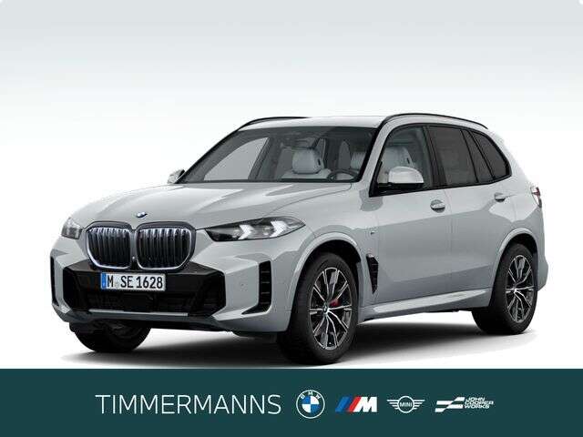 BMW X5 (Bild 1/5)
