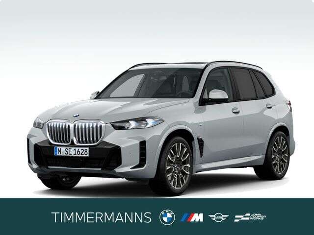 BMW X5 (Bild 1/5)