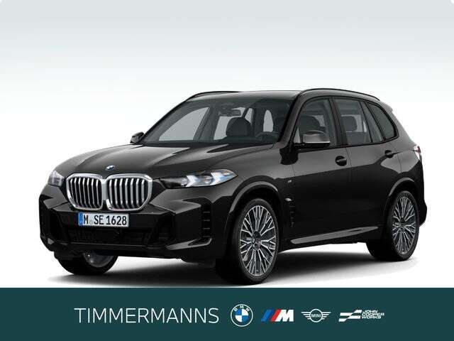 BMW X5 (Bild 1/5)