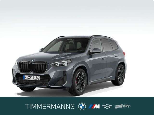 BMW X1 (Bild 1/5)