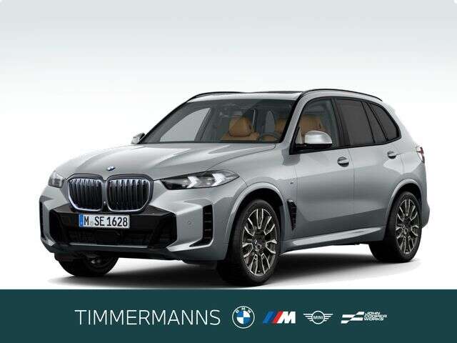 BMW X5 (Bild 1/5)