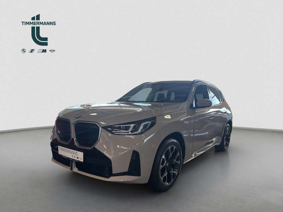 BMW X3 (Bild 1/13)