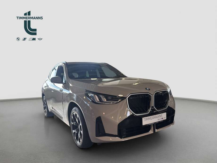 BMW X3 (Bild 5/13)