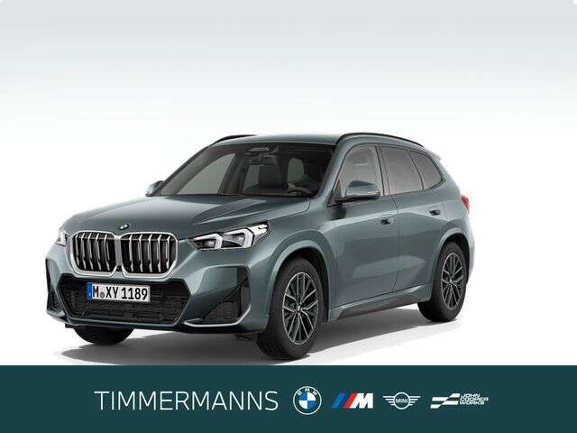 BMW X1 (Bild 1/5)