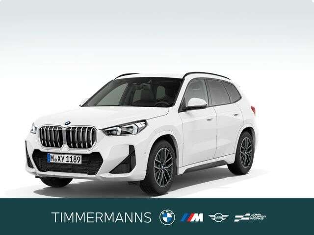 BMW X1 (Bild 1/5)