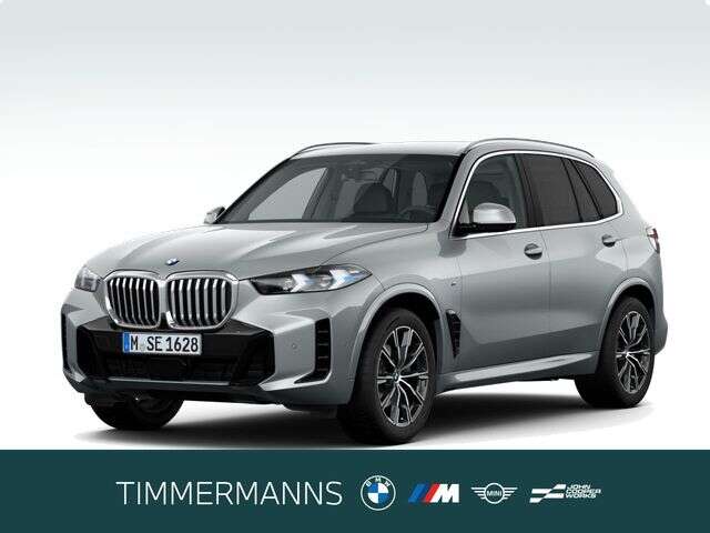 BMW X5 (Bild 1/5)