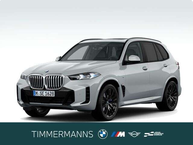 BMW X5 (Bild 1/5)