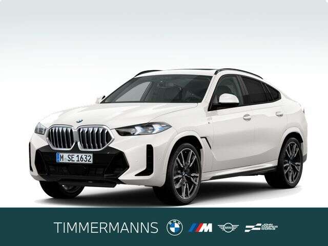 BMW X6 (Bild 1/5)