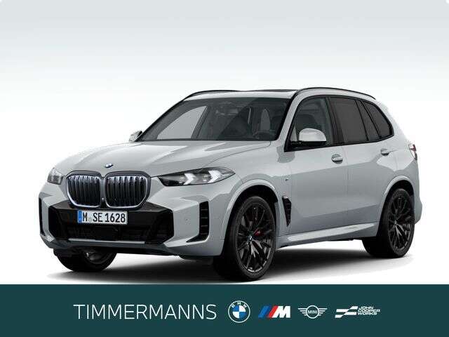 BMW X5 (Bild 1/5)