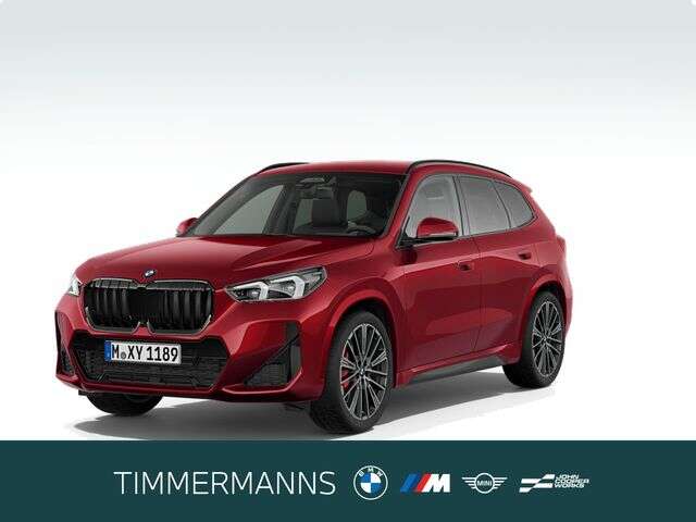 BMW X1 (Bild 1/5)