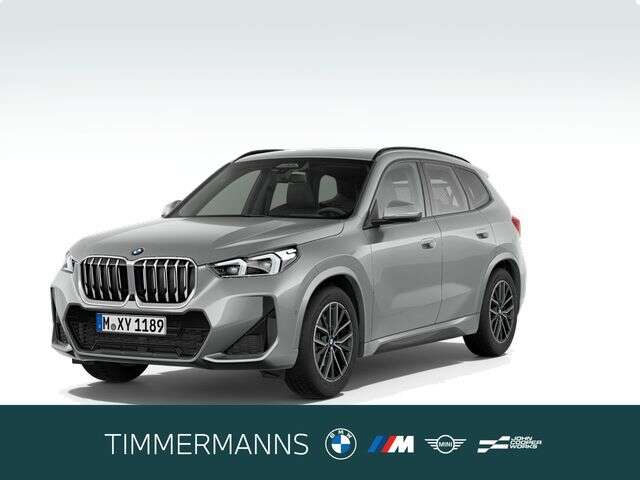 BMW X1 (Bild 1/5)