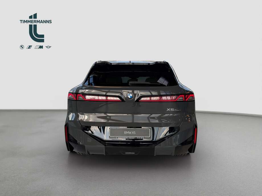 BMW X5 (Bild 4/17)