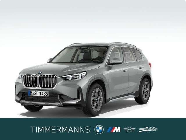BMW X1 (Bild 1/5)