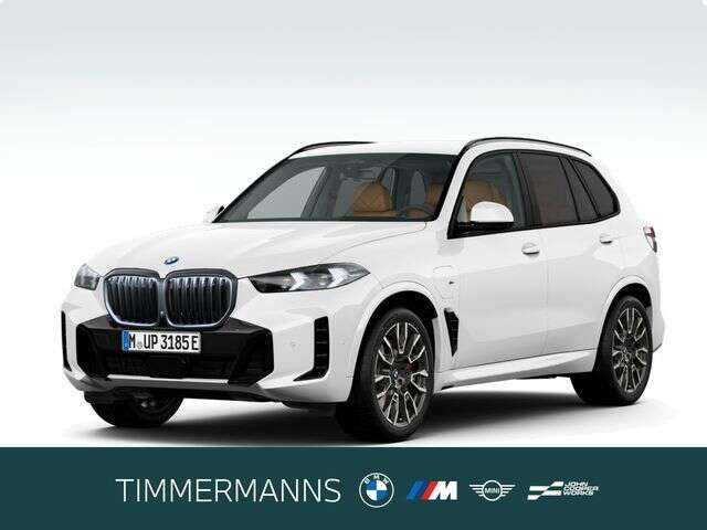 BMW X5 (Bild 1/5)