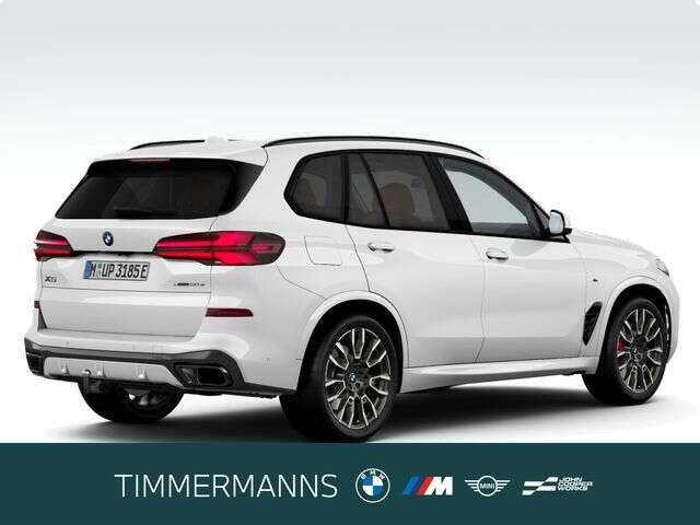 BMW X5 (Bild 5/5)