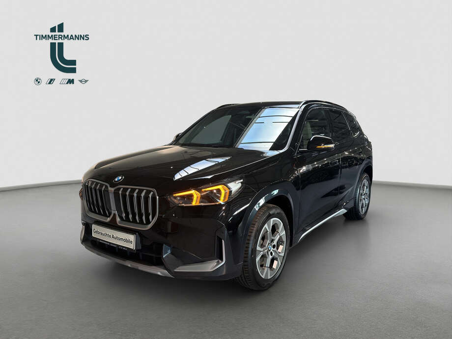 BMW X1 (Bild 1/16)