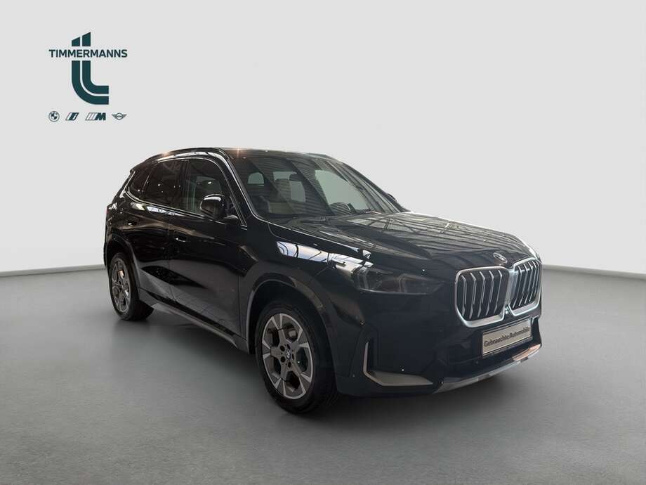 BMW X1 (Bild 8/16)