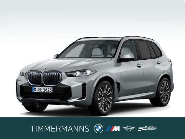 BMW X5 (Bild 1/5)