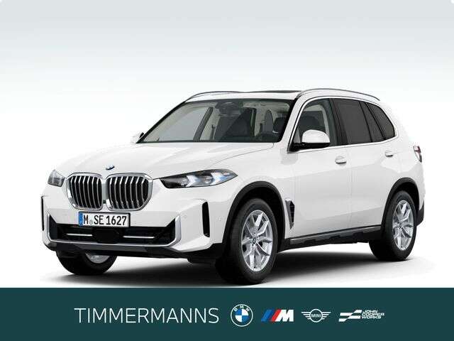 BMW X5 (Bild 1/5)