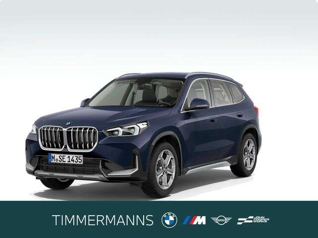BMW X1 (Bild 1/5)