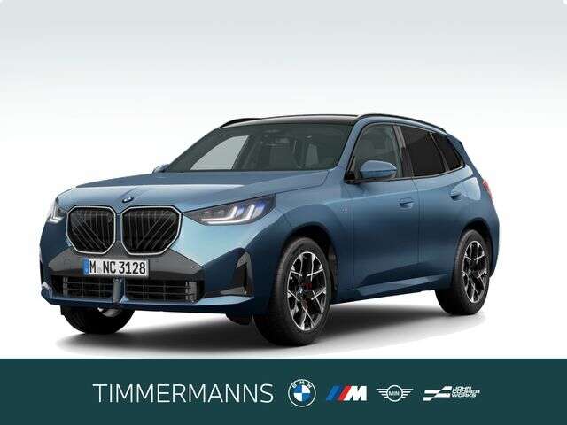 BMW X3 (Bild 1/5)