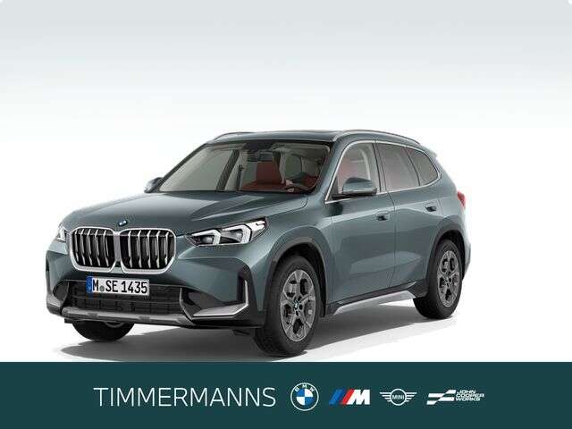 BMW X1 (Bild 1/5)