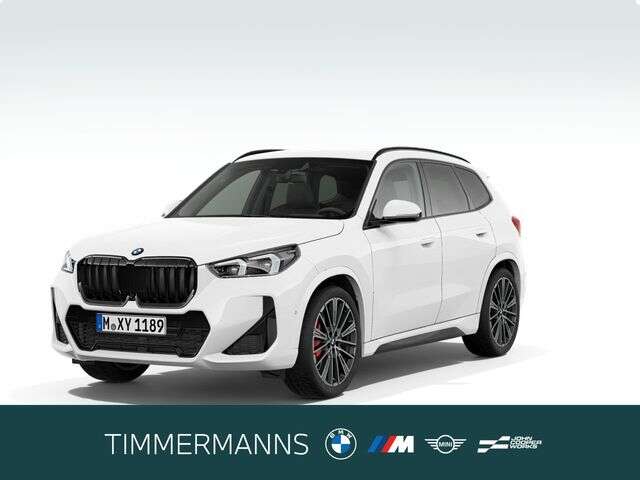 BMW X1 (Bild 1/5)