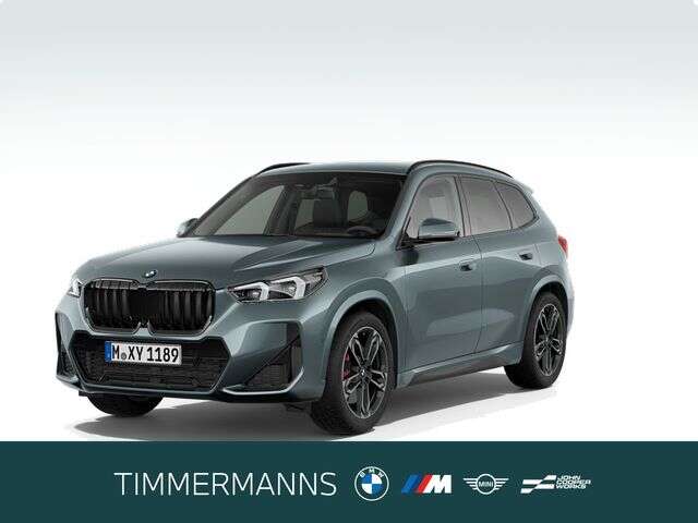BMW X1 (Bild 1/5)