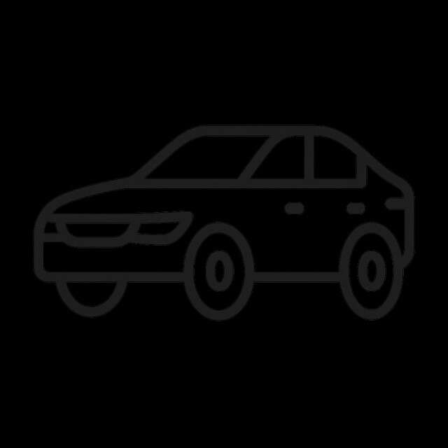 VW T-Roc (Bild 1/1)
