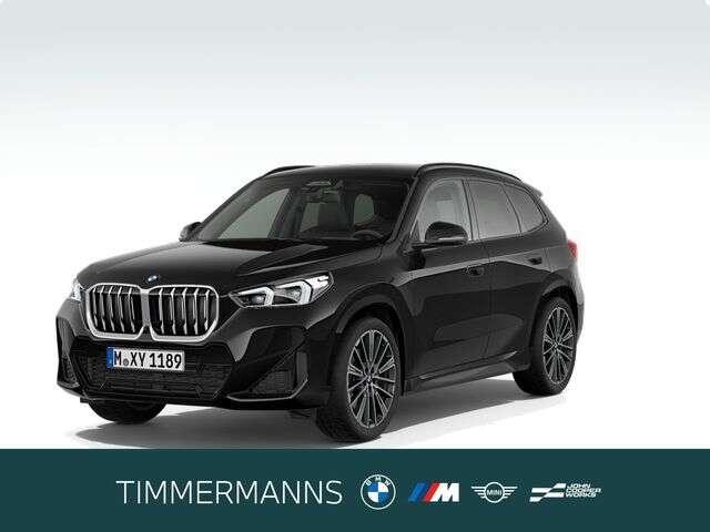 BMW X1 (Bild 1/5)