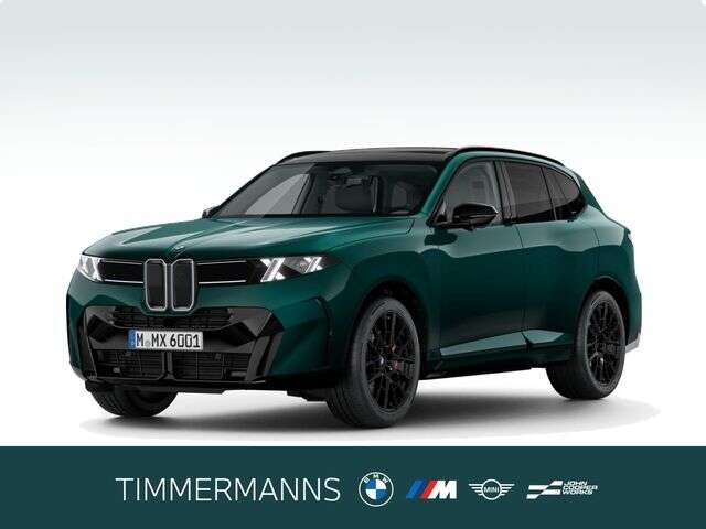 BMW X5 (Bild 1/5)