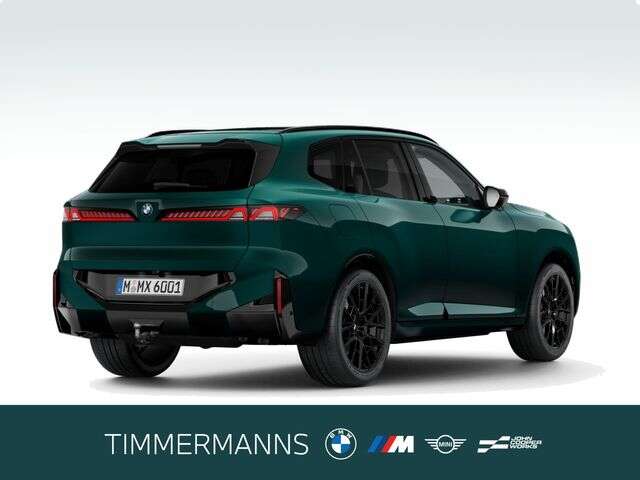 BMW X5 (Bild 2/5)