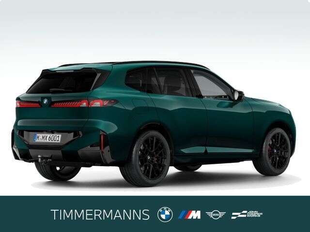 BMW X5 (Bild 5/5)