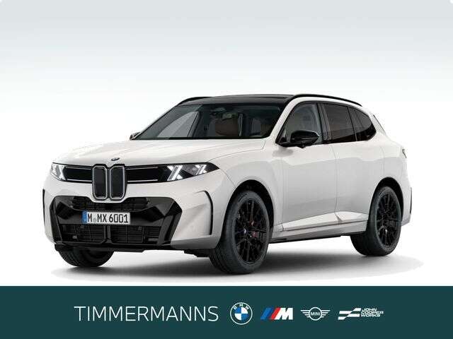 BMW X5 (Bild 1/5)