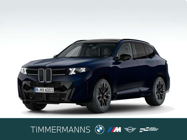 BMW X5 (Bild 1/5)