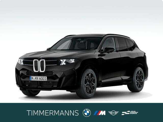 BMW X5 (Bild 1/5)