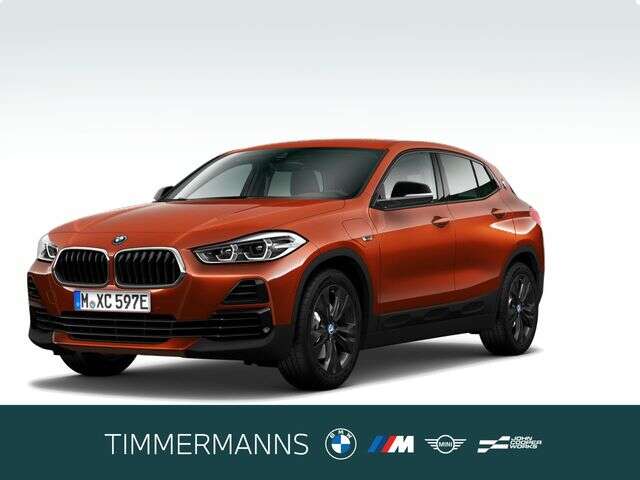 BMW X2 (Bild 1/5)