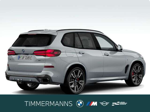 BMW X5 (Bild 5/5)