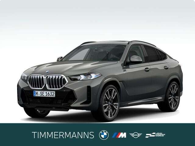 BMW X6 (Bild 1/6)